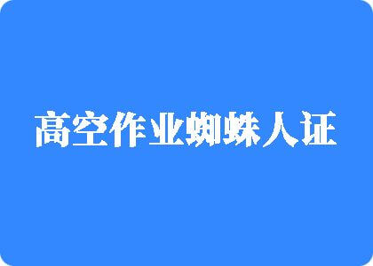 美女被www免费看高空作业蜘蛛人证